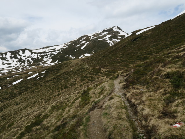zwischen Unterstandh&uuml;tte Klingert&ouml;rl und Steinbachriedel (29. Mai)