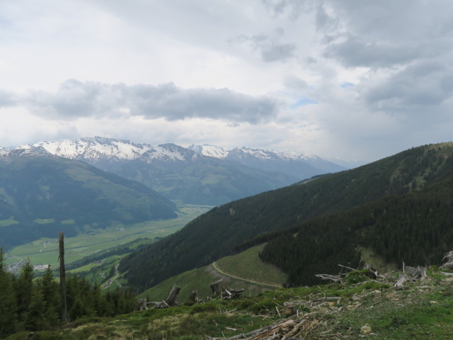 vom Steinbachriedel Richtung S&uuml;dwesten (29. Mai)