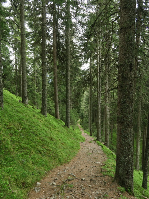 Steinbachriedel (29. Mai)