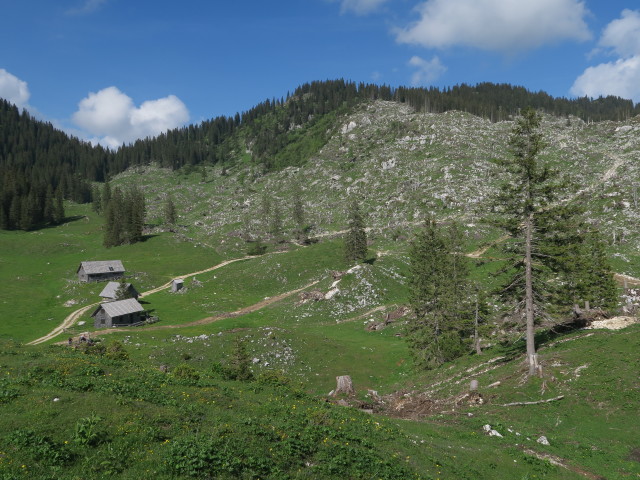 D&uuml;rrensteinalm (10. Juni)
