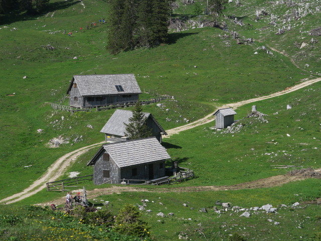 D&uuml;rrensteinalm (10. Juni)
