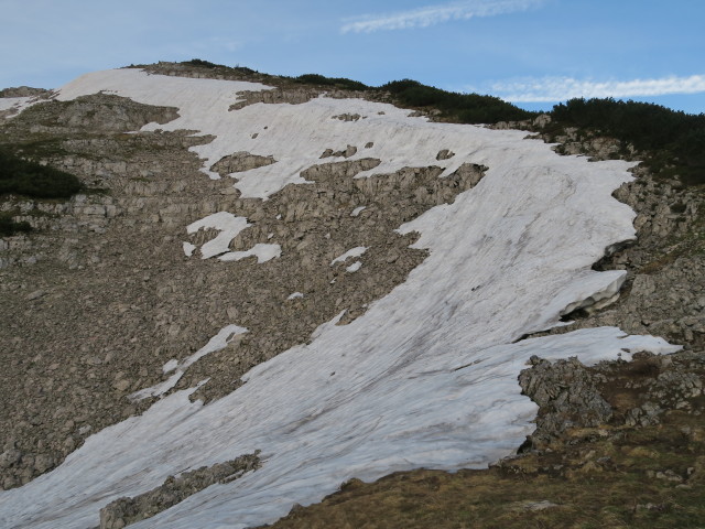 neben Weg 2 zwischen Legsteinquelle und D&uuml;rrenstein (11. Juni)
