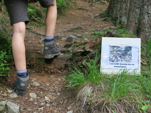 Johanna am Knappensteig zwischen Pr&auml;bichl und Knappenkar (17. Juni)