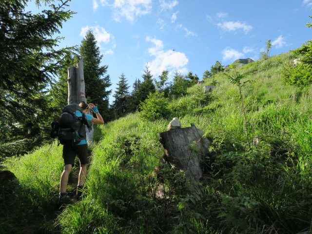 Johanna am Knappensteig zwischen Pr&auml;bichl und Knappenkar (17. Juni)
