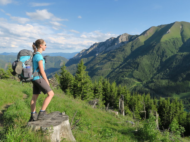 Johanna am Knappensteig zwischen Pr&auml;bichl und Knappenkar (17. Juni)