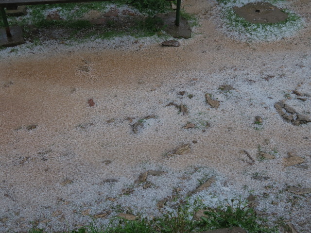 bei der Leobner H&uuml;tte, 1.582 m (17. Juni)