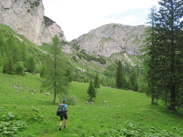 Johanna am Dr. Koteksteig zwischen Neuwaldeggsattel und Kulmalm (18. Juni)