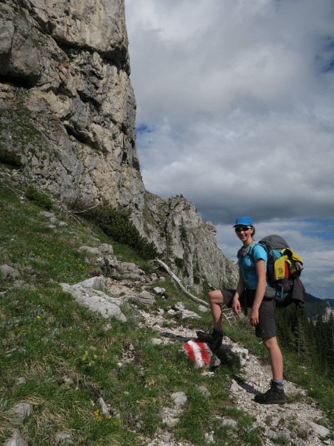 Johanna am Dr. Koteksteig zwischen Kulmalm und H&ouml;rndlalm (18. Juni)