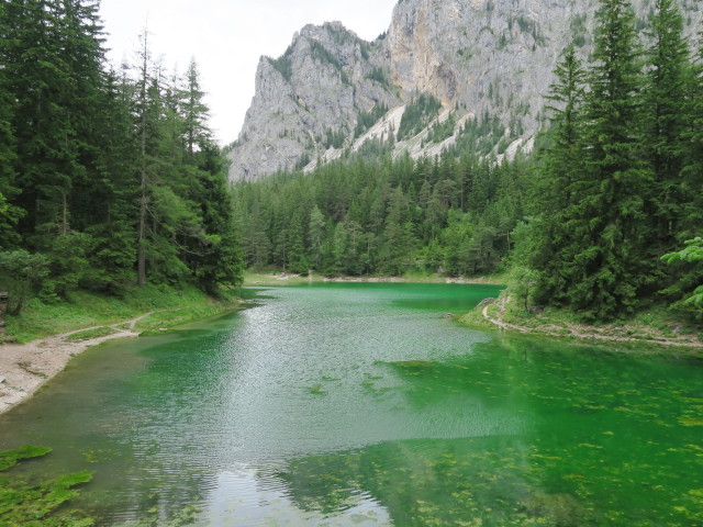 Gr&uuml;ner See (19. Juni)