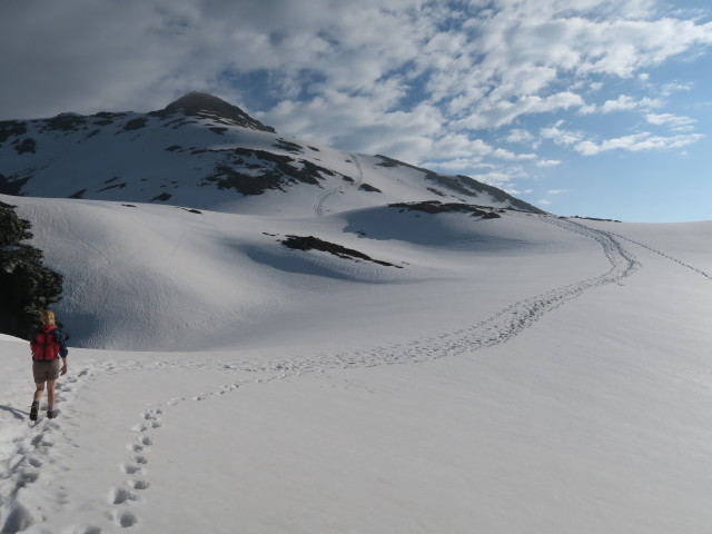 Evelyn zwischen Wangenitzseeh&uuml;tte und Petzeck (2. Juli)
