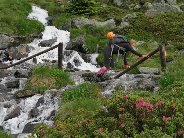 Miriam am Wiener H&ouml;henweg beim Gitterbach (2. Juli)