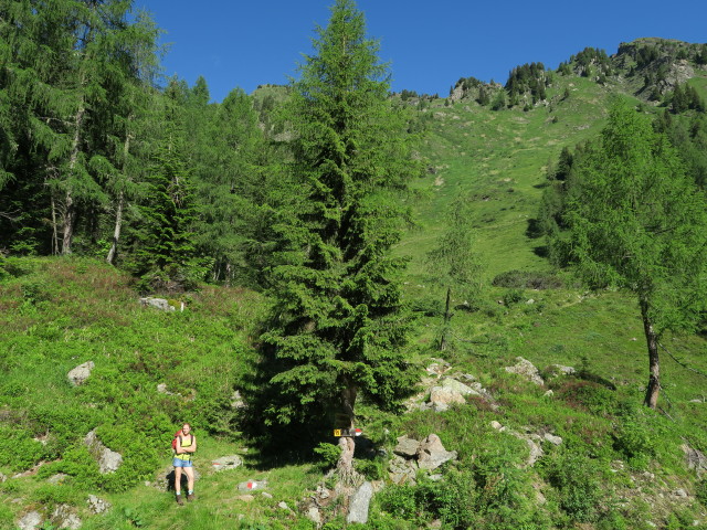 Evelyn am Karnischen H&ouml;henweg zwischen Enderbergh&uuml;tte und Weg 445