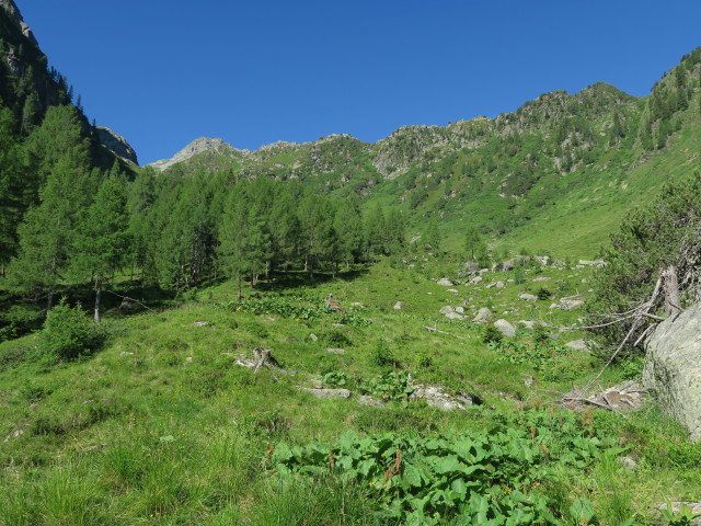Karnischer H&ouml;henweg zwischen Enderbergh&uuml;tte und Weg 445