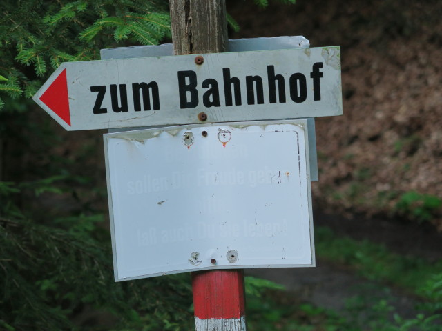 Zabratsteig zwischen Drau und B&auml;renkopf (9. Juli)