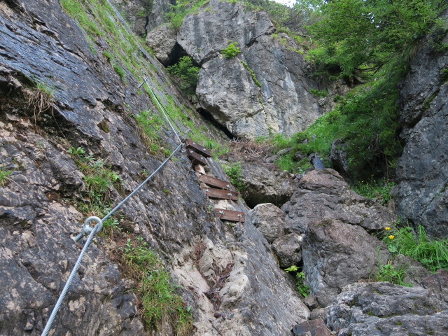 Zabratsteig zwischen Drau und B&auml;renkopf (9. Juli)