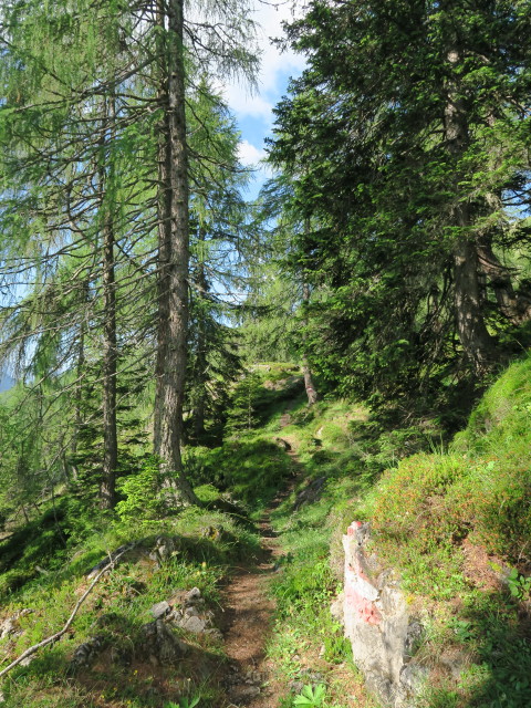 Zabratsteig zwischen B&auml;renkopf und Hochstadelhaus (9. Juli)