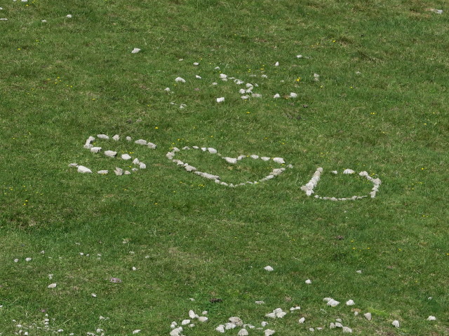 neben dem Rudnigweg zwischen Hochstadel und Garnitzenkar (9. Juli)