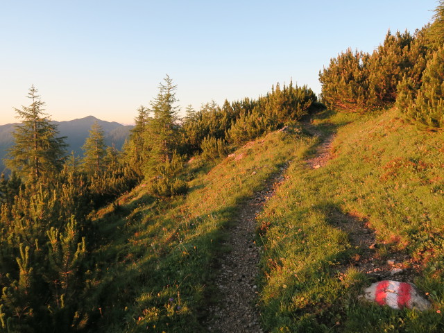 Dreit&ouml;rlweg zwischen Gem&auml;ch und Raineck (10. Juli)