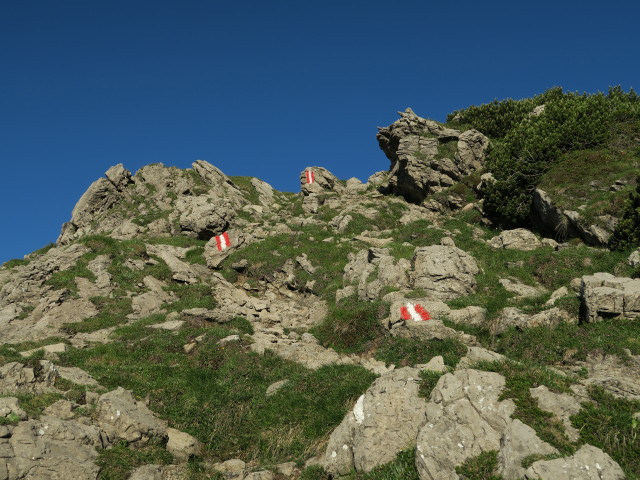 Dreit&ouml;rlweg zwischen Badst&uuml;blkar und Leitent&ouml;rl (10. Juli)