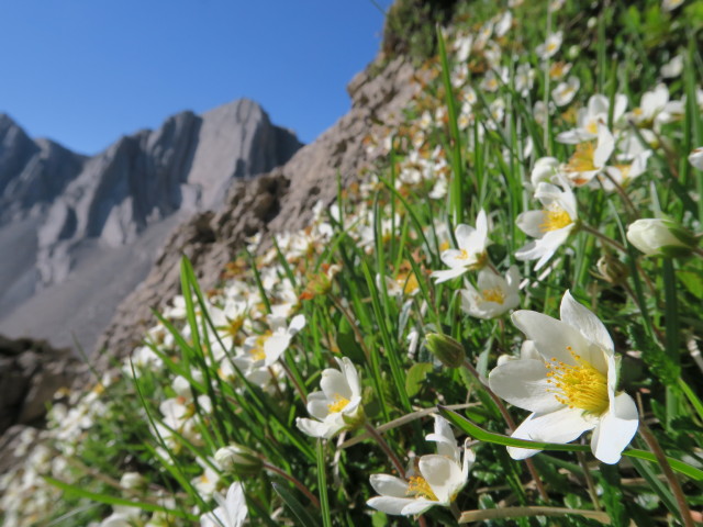 Kuhleitent&ouml;rl, 2.295 m (10. Juli)