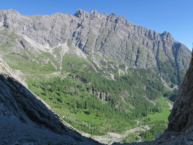 Lavanter Alm vom Dreit&ouml;rlweg aus (10. Juli)