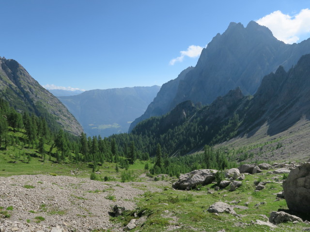Lavanter Alm vom Dreit&ouml;rlweg aus (10. Juli)