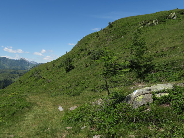 Weg 44 zwischen Waidegger H&ouml;he und Waidegger Sattel (16. Juli)