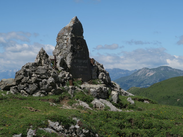 neben Weg 425 zwischen Waidegger Sattel und Lodint&ouml;rl (16. Juli)