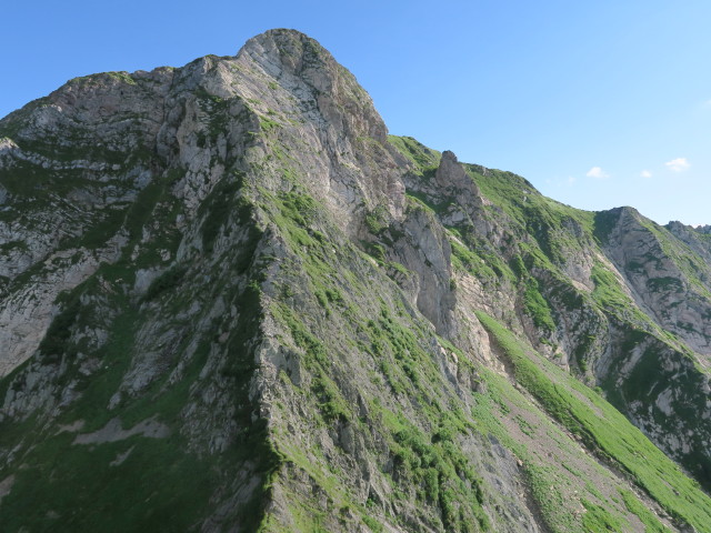 Gro&szlig;er Trieb vom Kleinen Trieb aus (16. Juli)