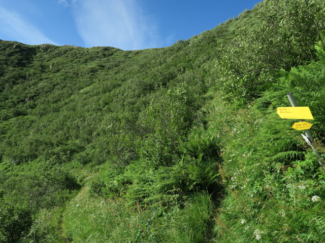 Karnischer H&ouml;henweg zwischen Kronhofer T&ouml;rl und K&ouml;derkopf (17. Juli)