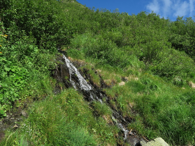 Karnischer H&ouml;henweg zwischen Kronhofer T&ouml;rl und K&ouml;derkopf (17. Juli)