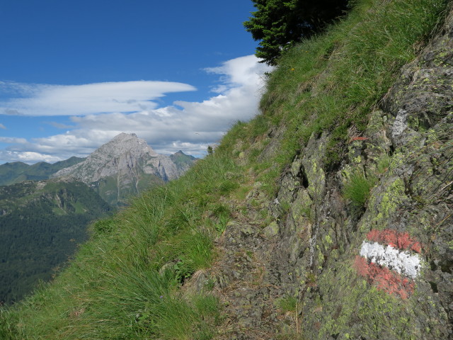 Karnischer H&ouml;henweg zwischen K&ouml;derkopf und Oberer Tschintemuntalm (17. Juli)