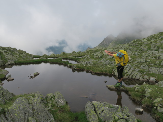 J&ouml;rg neben Weg 133 zwischen Platzengrube und Platzen (29. Juli)