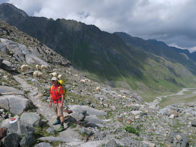 J&ouml;rg am Weg 131 zwischen Alpeiner Ferner und Berglastal (30. Juli)