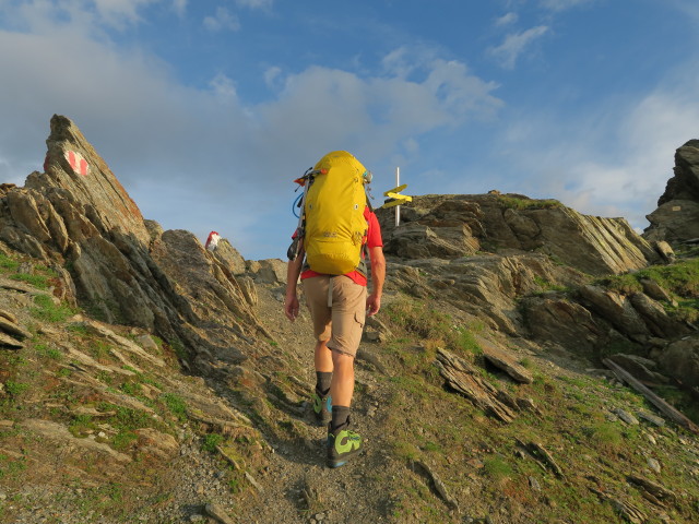 J&ouml;rg am Gro&szlig;en Horntaler Joch, 2.812 m (31. Juli)