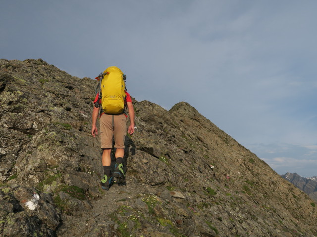 J&ouml;rg zwischen Gro&szlig;em Horntaler Joch und Schafgr&uuml;bler (31. Juli)