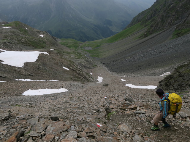 J&ouml;rg am Weg 132 zwischen Gro&szlig;em Horntaler Joch und Gro&szlig;em Horntal (31. Juli)