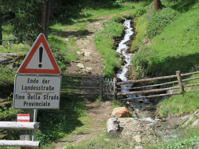 Weg 12-37 zwischen Enzianhütte und Plimabach (6. Aug.)
