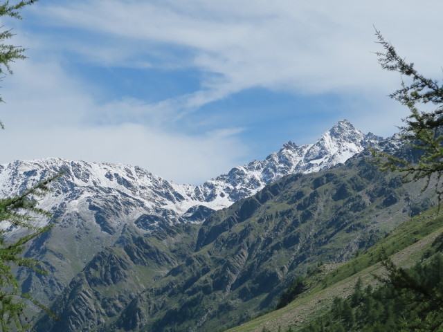 von Weg 37 Richtung Osten (6. Aug.)