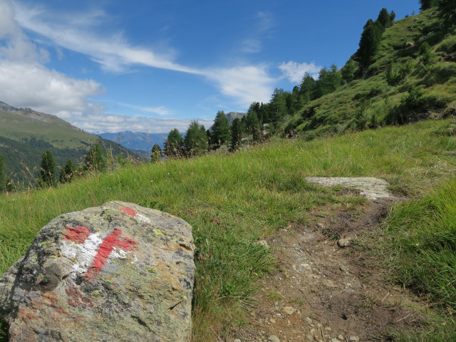 Weg 31 zwischen ehemaligem Hotel Paradiso und Schönbichl (6. Aug.)