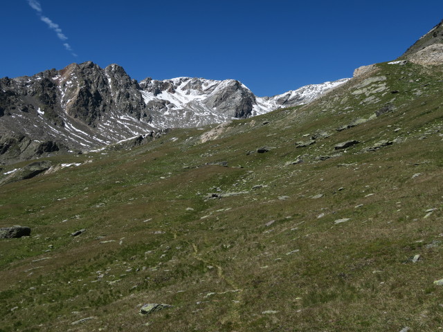 zwischen Butzental und Weg 150 (7. Aug.)