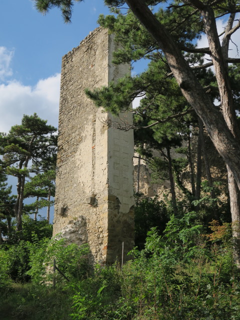 Ruine Burg M&ouml;dling