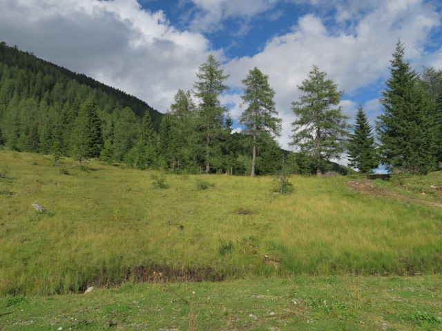 Weg 787 zwischen Haltestelle Prebersee Grazer H&uuml;tte und Grazer H&uuml;tte (19. Aug.)