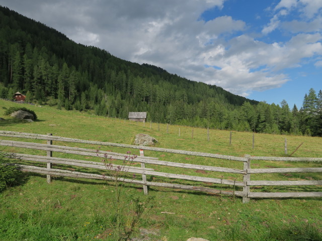 Weg 787 zwischen Haltestelle Prebersee Grazer H&uuml;tte und Grazer H&uuml;tte (19. Aug.)
