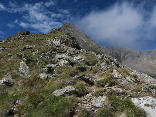 zwischen Roteck und M&uuml;hlbacht&ouml;rl (20. Aug.)