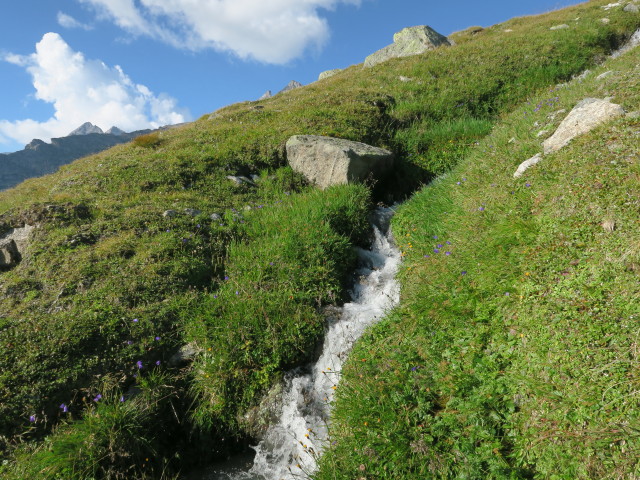 Hohenaukar (26. Aug.)