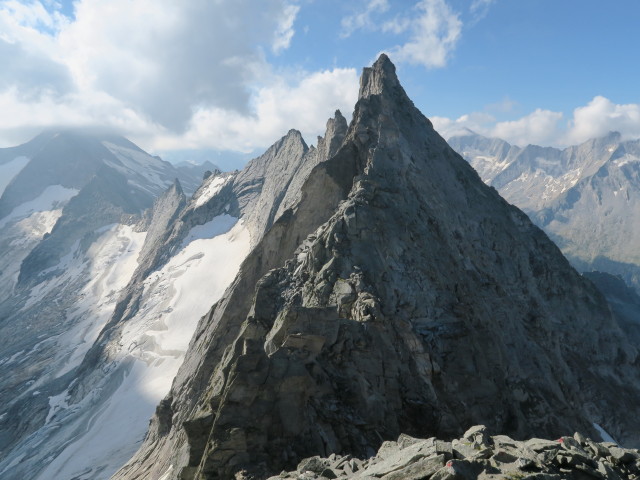N&ouml;rdlicher Schwarzkopf (28. Aug.)