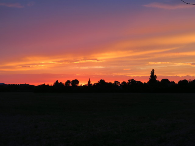 S&uuml;&szlig;enbrunn (29. Aug.)