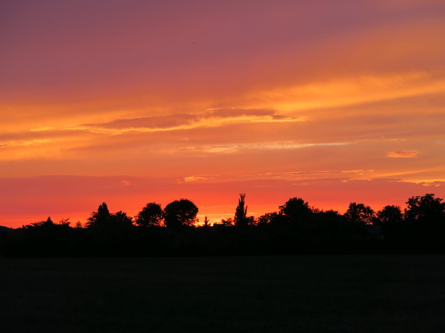 S&uuml;&szlig;enbrunn (29. Aug.)