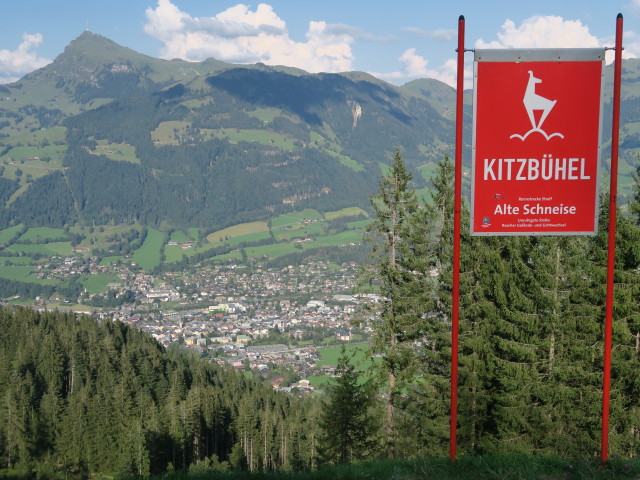 Alte Schneise der Streif (9. Sept.)